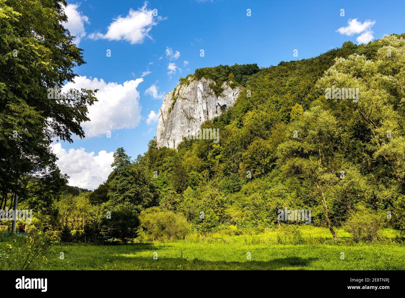 Sokolica mountain limestone peak in Bedkowska Valley within Jura Krakowsko-Czestochowska upland near Cracow in Lesser Poland Stock Photo