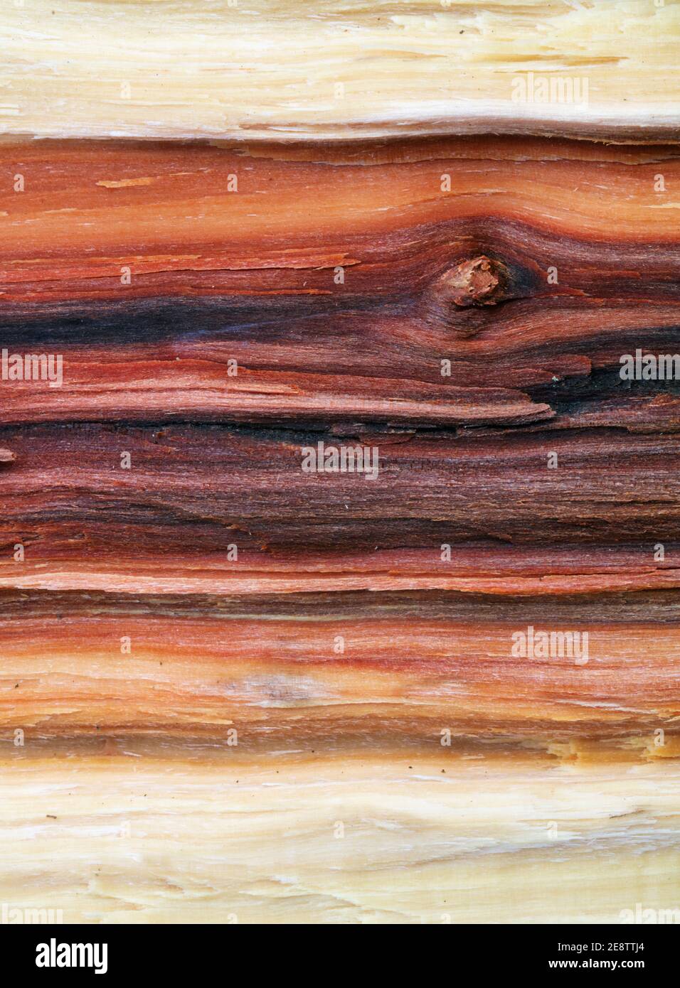 Wood texture. Super long walnut planks texture background.Texture element Stock Photo