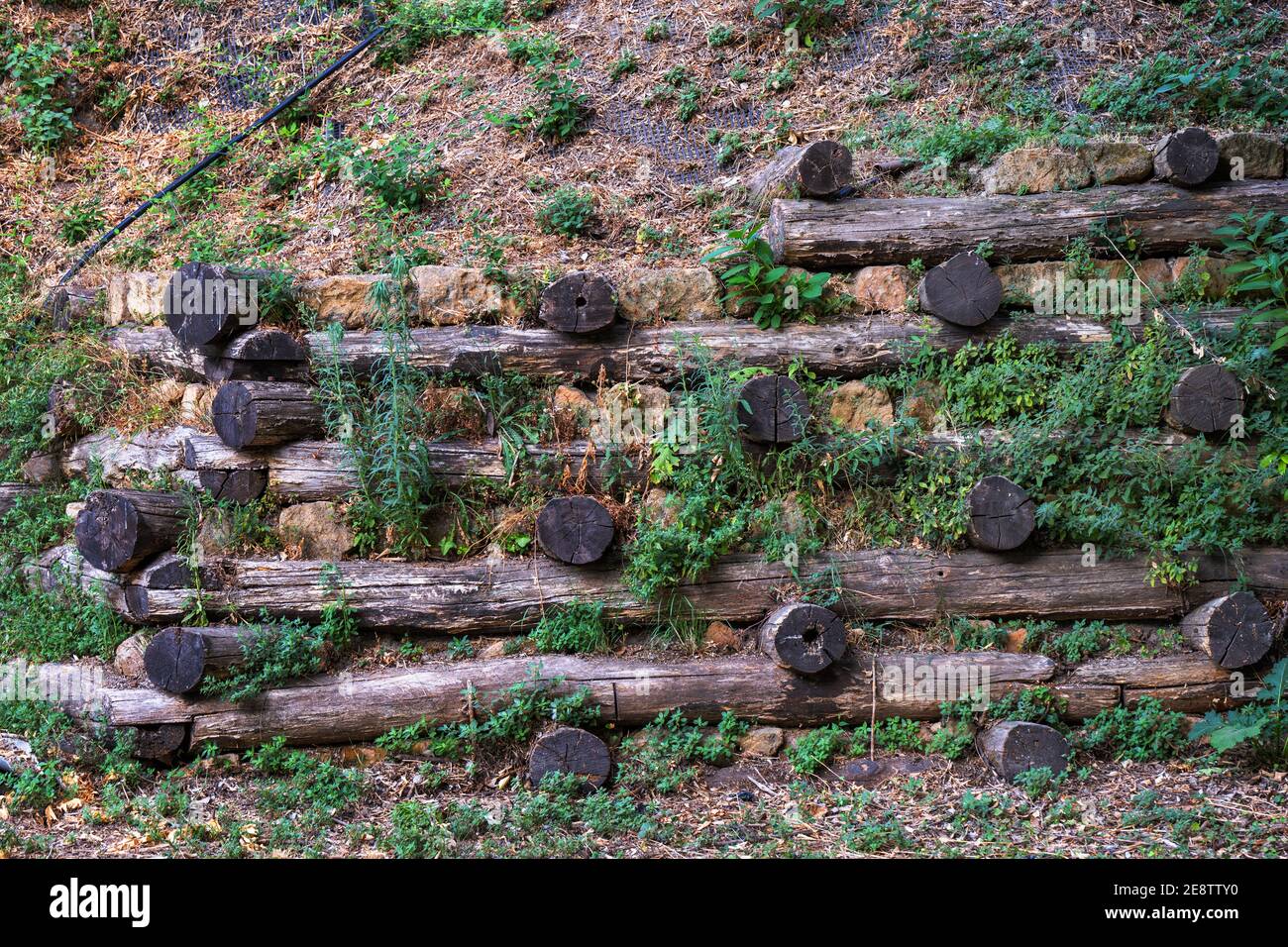 Steep slope supported with wooden logs against landslide, solution for land stability problem Stock Photo