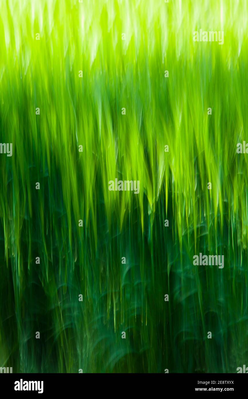 Paisaje en primavera hi-res stock photography and images - Alamy