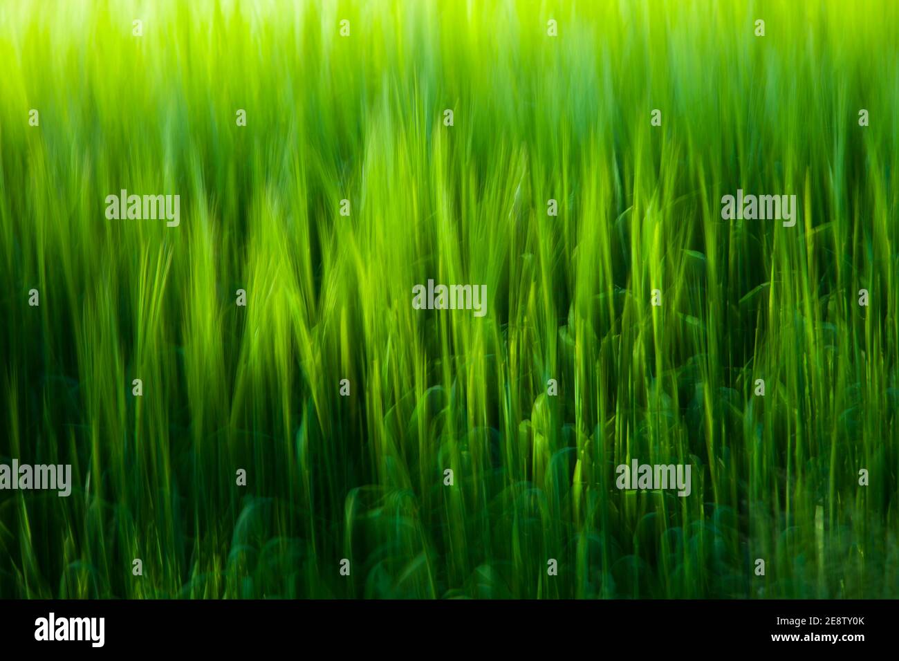 Paisaje en primavera hi-res stock photography and images - Alamy