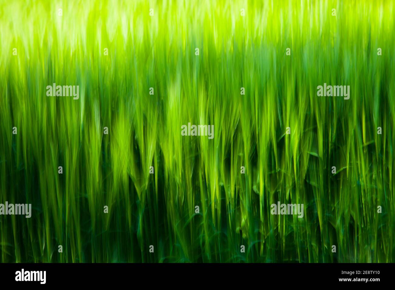 Paisaje en primavera hi-res stock photography and images - Alamy