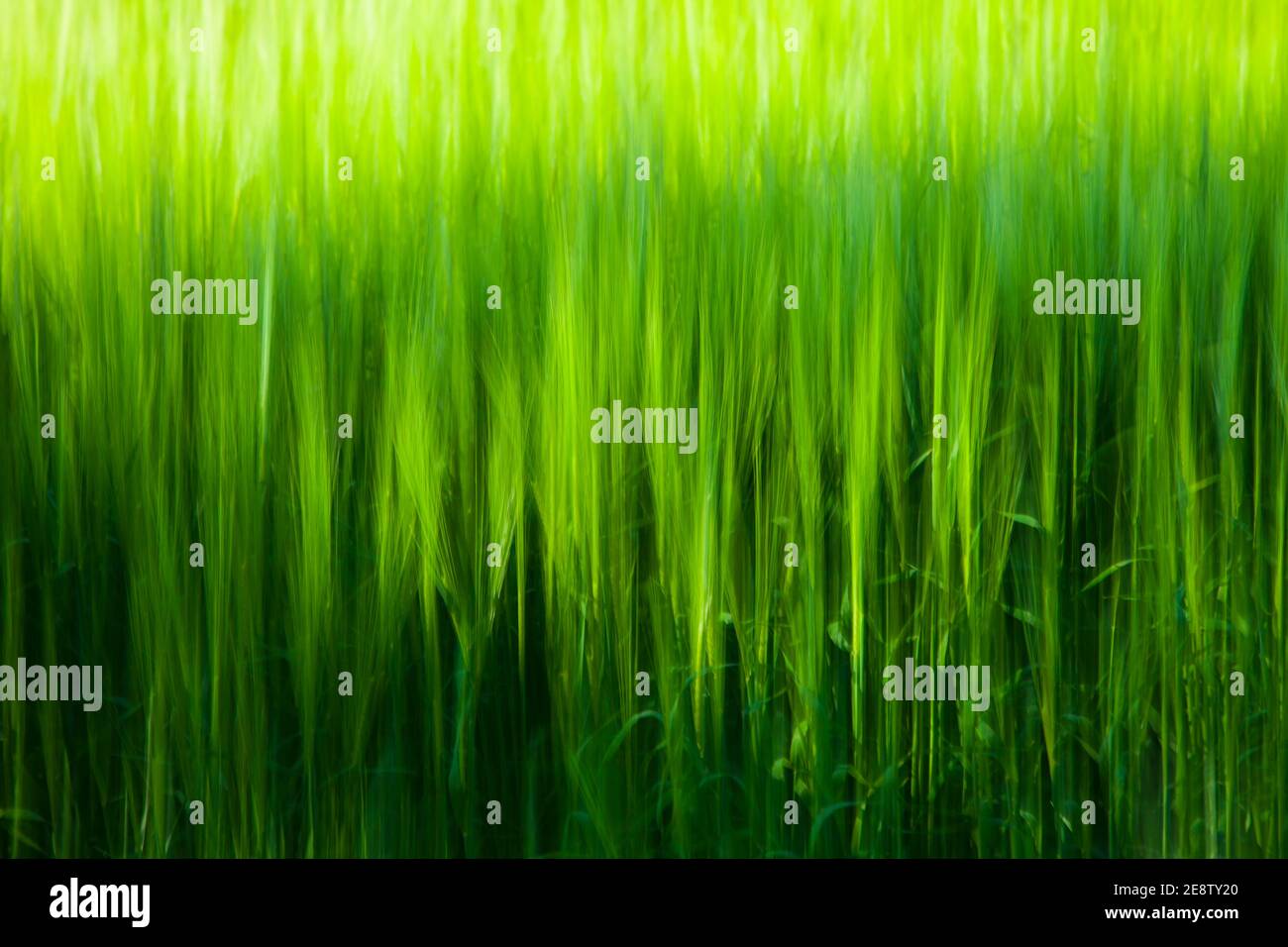 Paisaje en primavera hi-res stock photography and images - Alamy