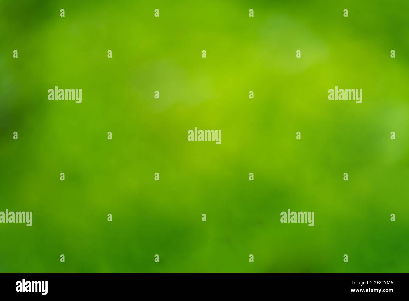 Green Blurred Texture and Background Stock Photo