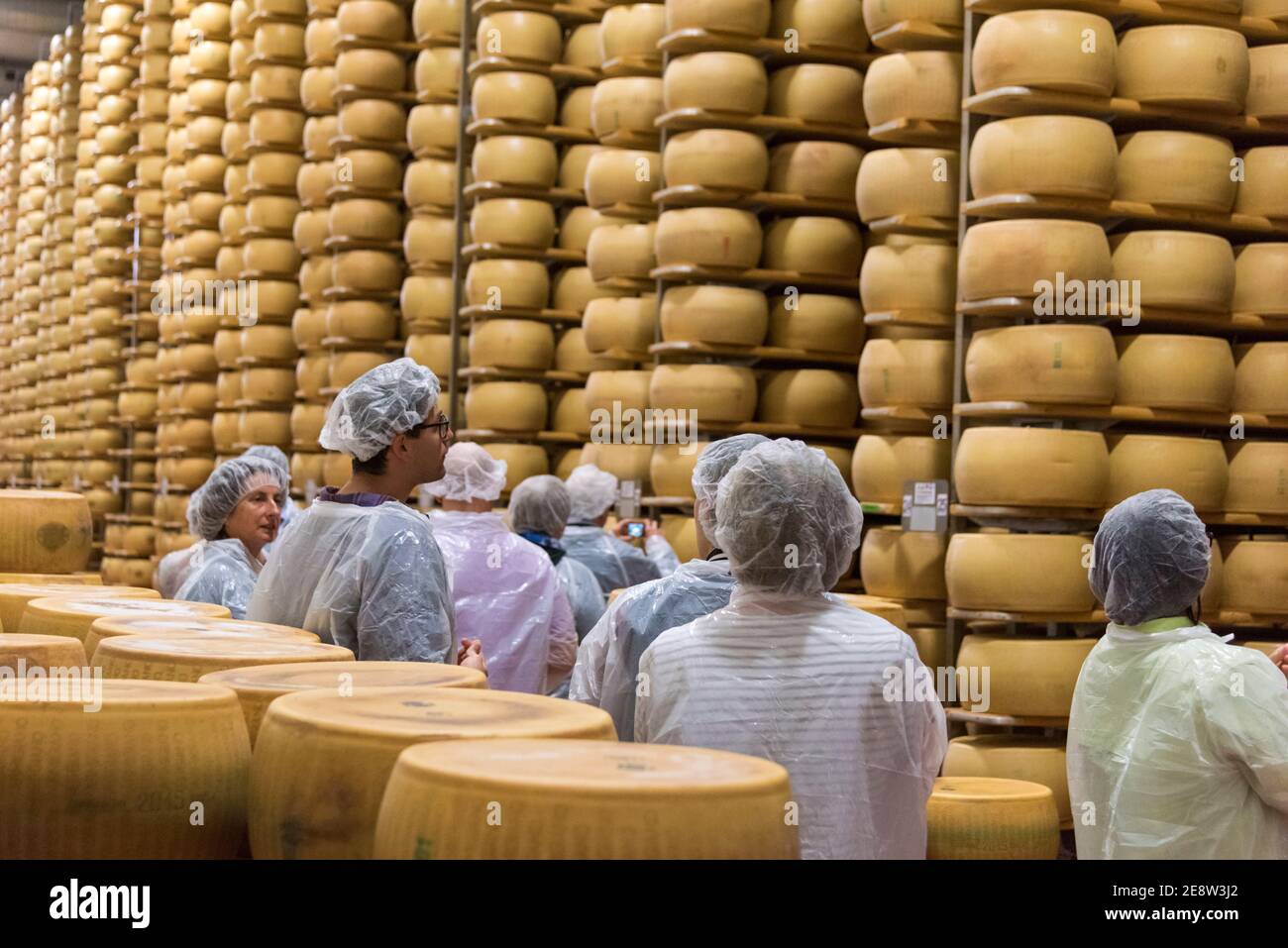 https://c8.alamy.com/comp/2E8W3J2/people-on-a-tourist-visit-to-parmigiana-cheese-factory-look-at-piles-of-stacked-parmesan-cheese-wheels-in-a-factory-near-bologna-2E8W3J2.jpg