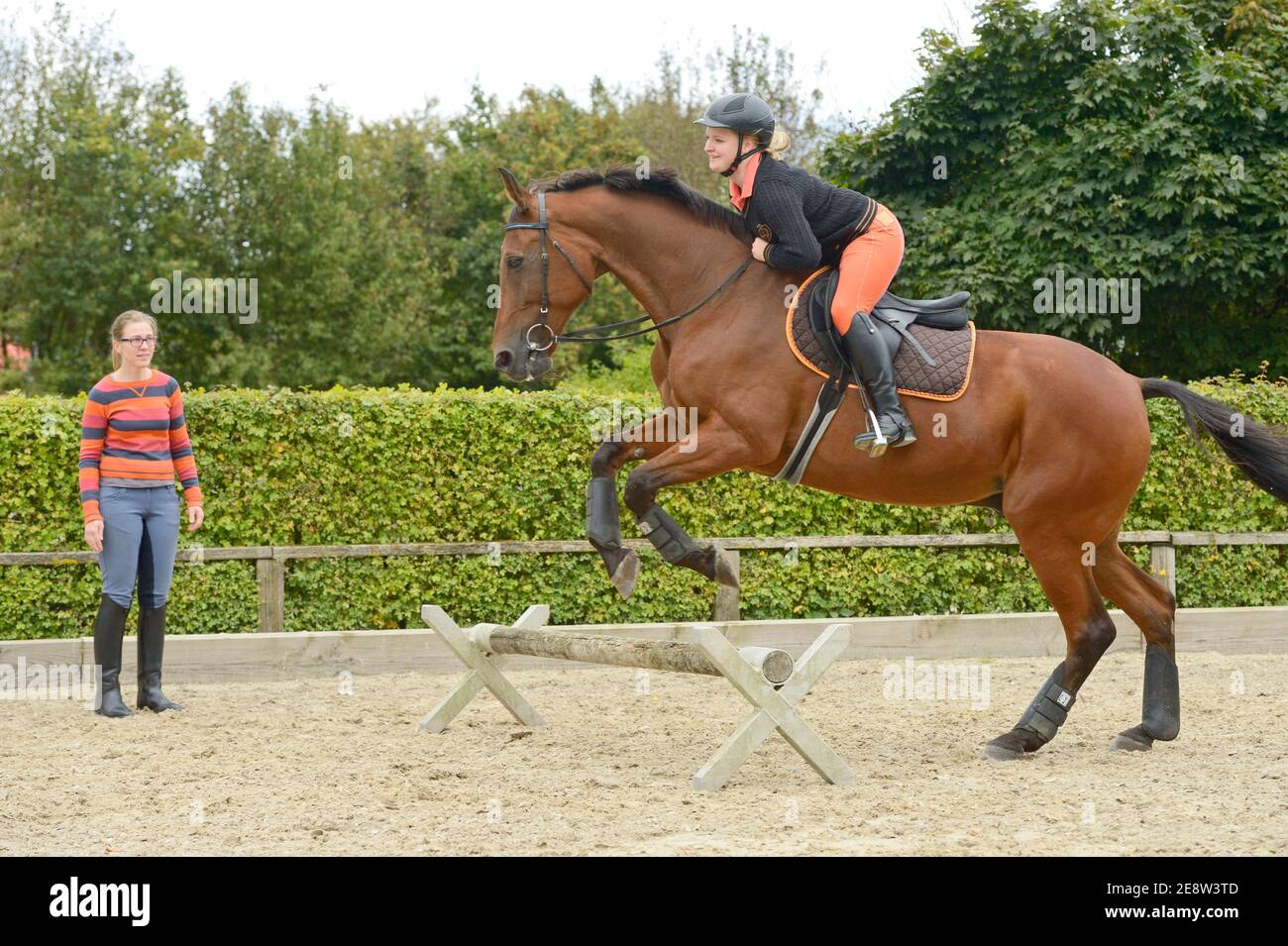 Jumping lesson for beginner Stock Photo Alamy