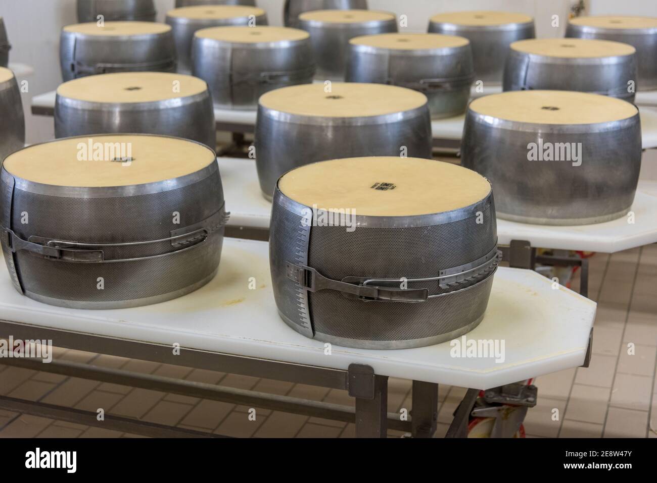 Parmigiano reggiano cheese in metal moulds to shape it into rounds ready for it to be stored and matured in Bologna Italy Stock Photo