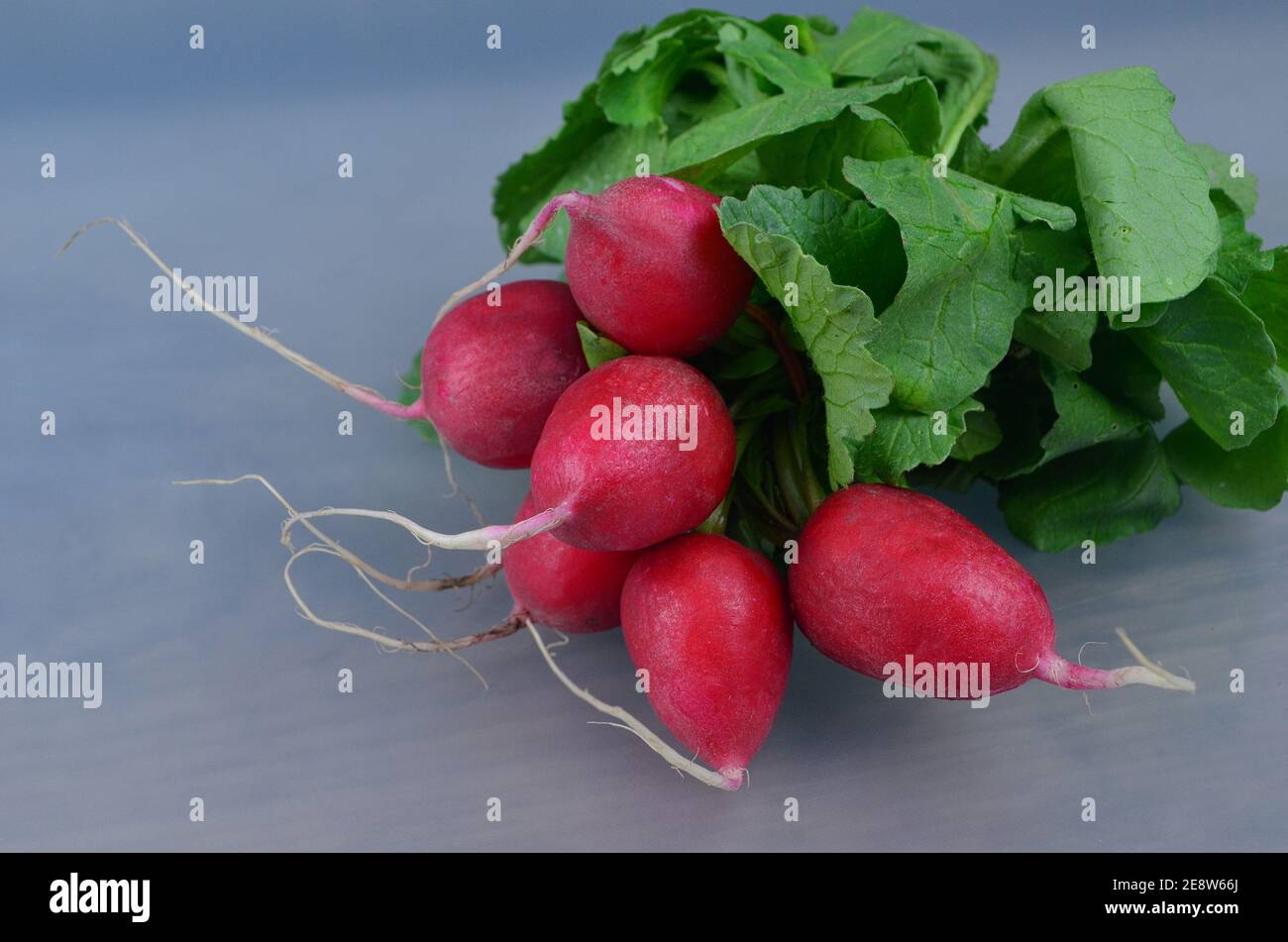 Fresh Red Radish, Bunch