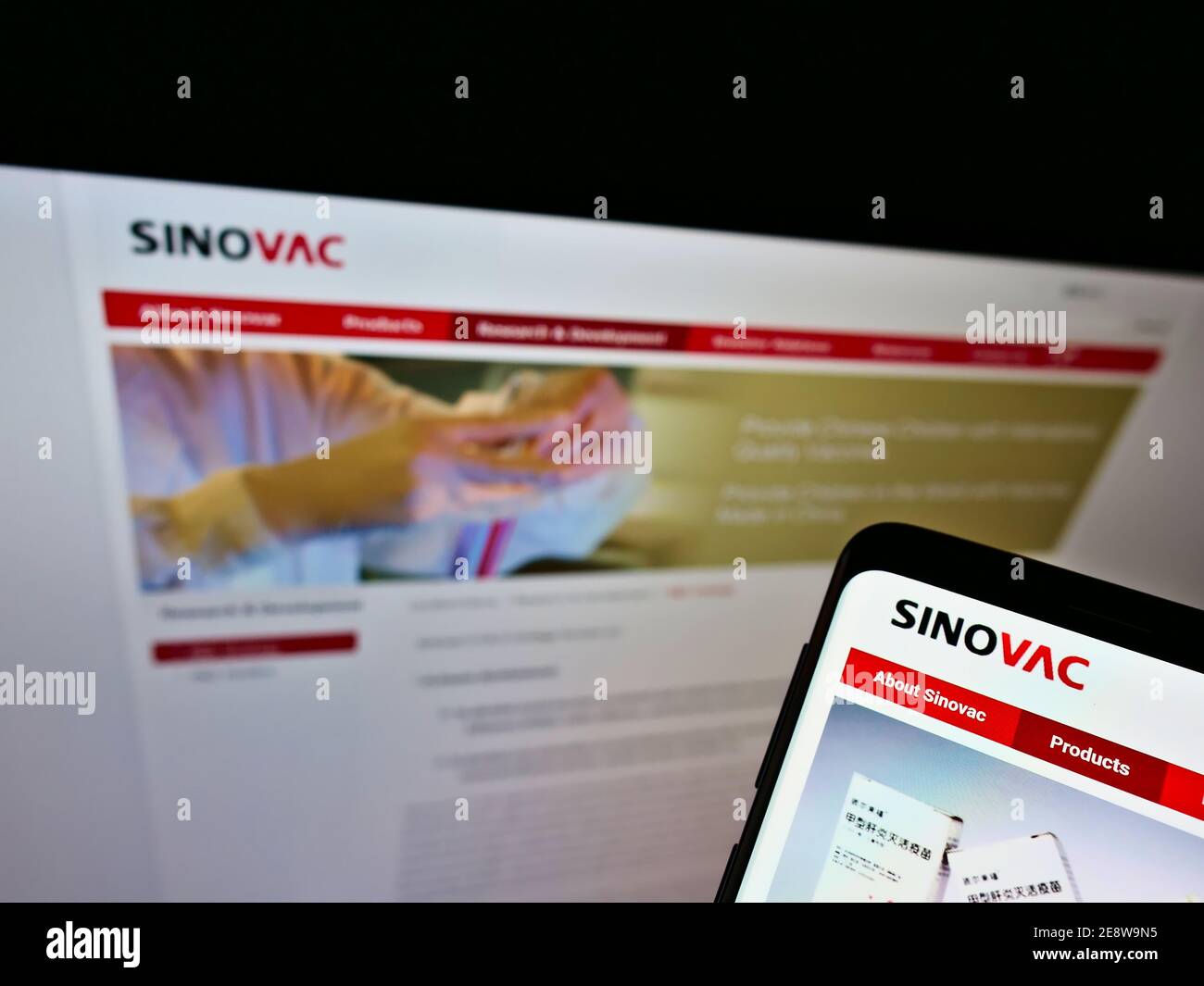Phone with website and logo of Chinese biotechnology company Sinovac Biotech Ltd. on screen in front of web page. Focus on top left of phone display. Stock Photo