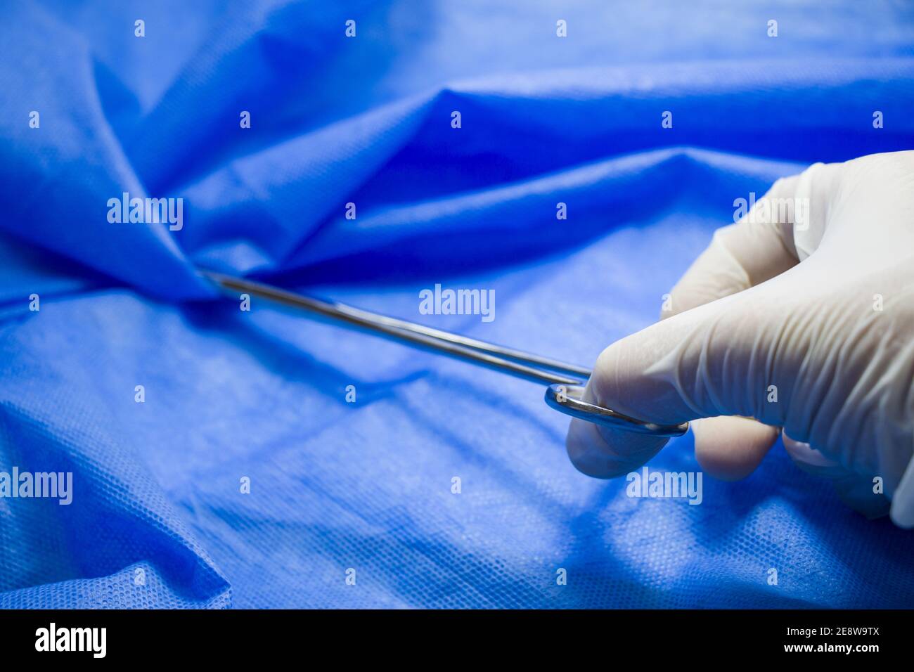 Closeup shot of a gloved hand holding surgery forceps on the blue background Stock Photo Alamy