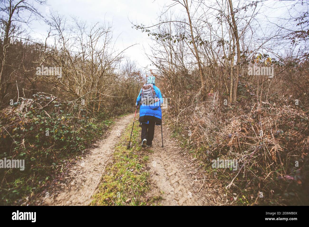 Hiking, Travel, Healthy Lifestyle. Active people with backpack walking on a rural landscape in autumn day. Stock Photo