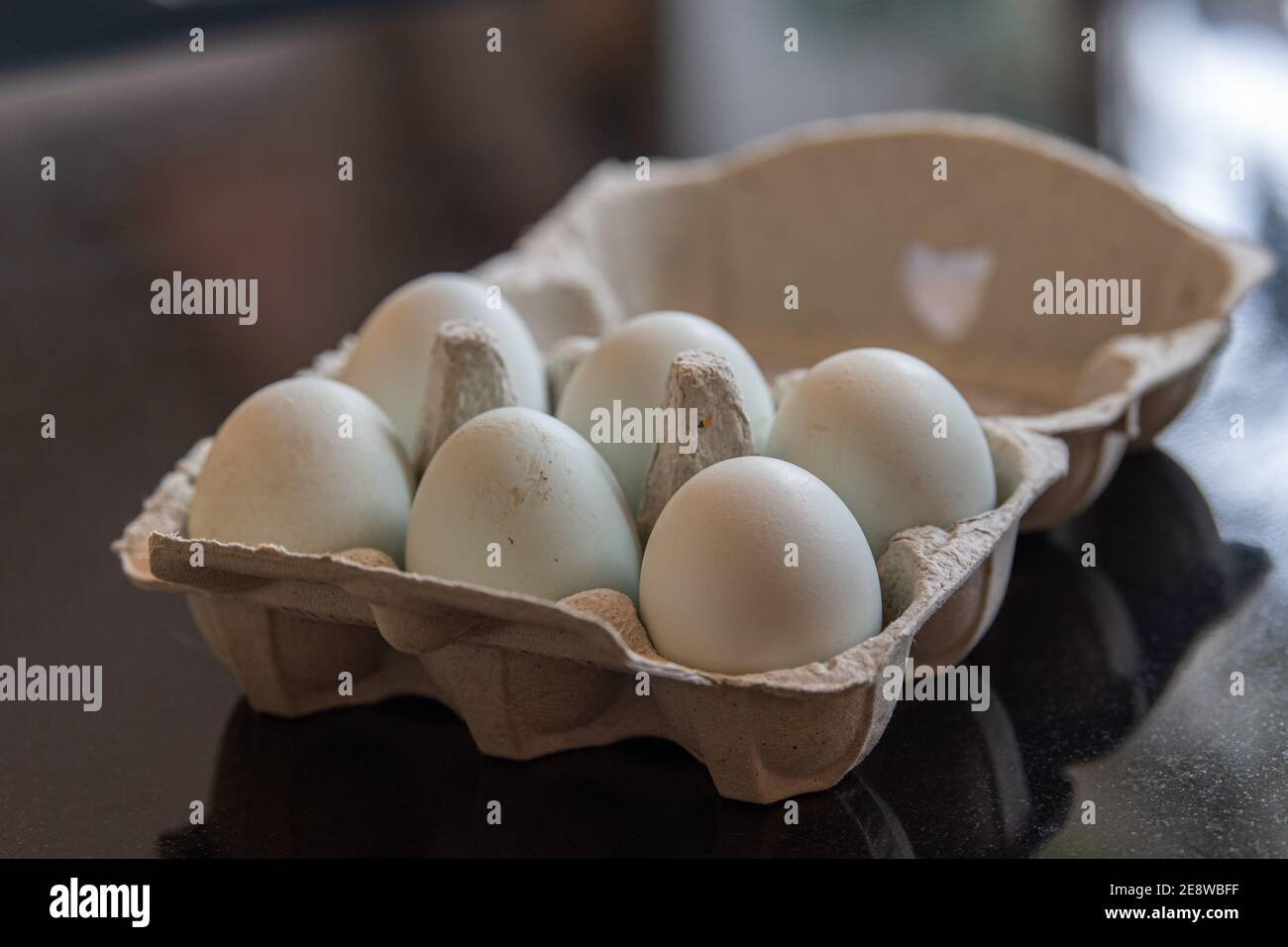 Box of six eggs Stock Photo