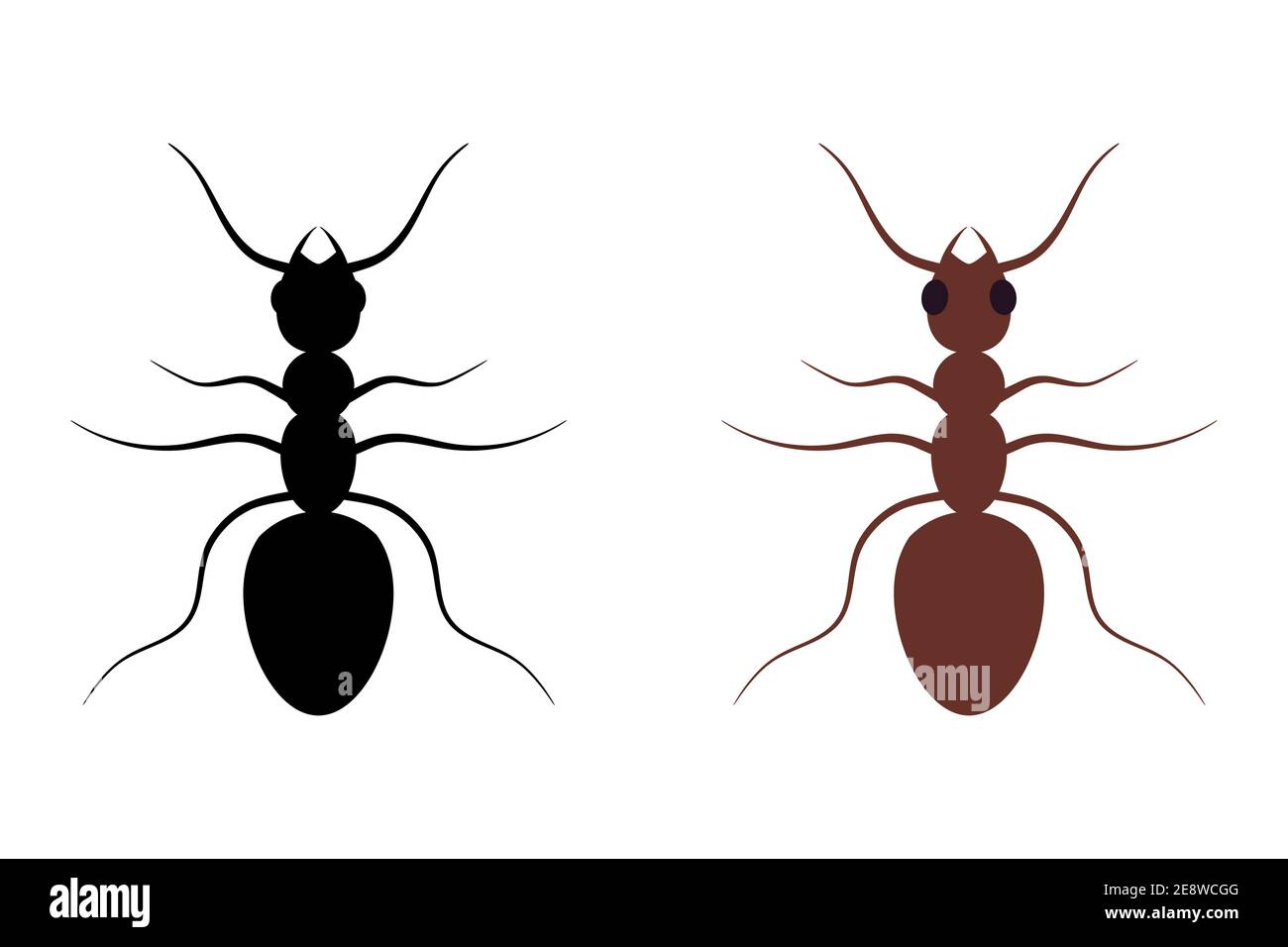 Ant. Silhouette. Illustrations on white isolated background. Stock Vector