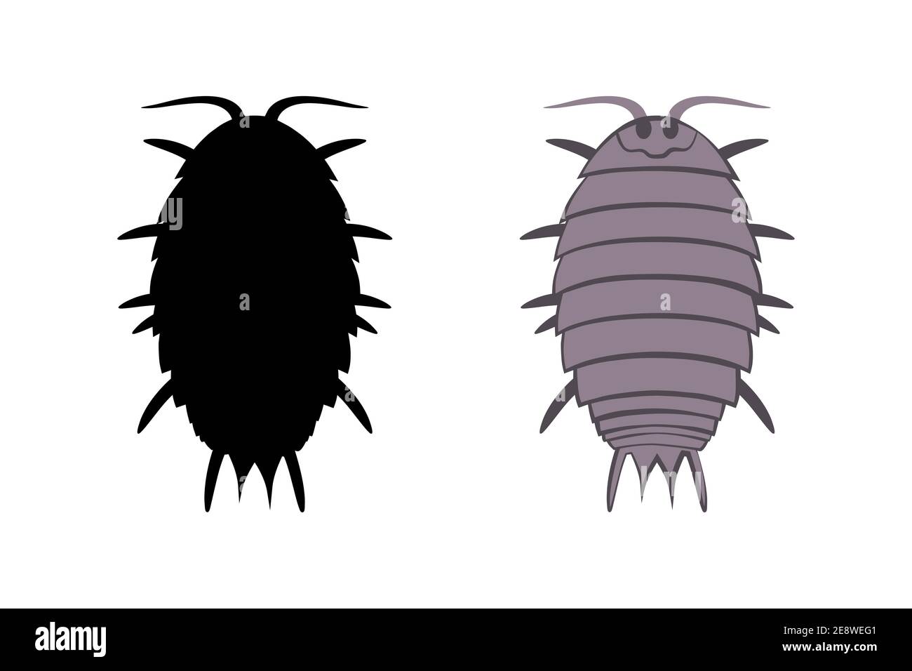 Vector drawing wood lice isolated on a white background. Stock Vector
