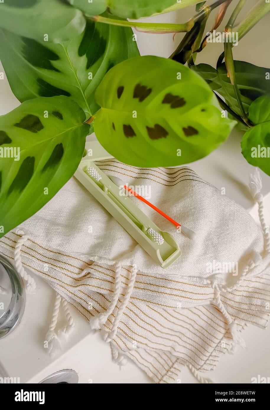 Reusable silicone ear swabs on a bathroom counter. SIngle-use plastic free swap. Sustainable lifestyle. Stock Photo