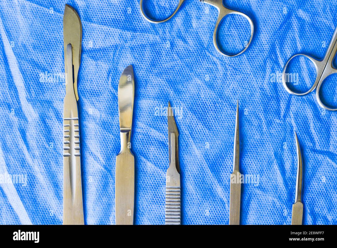 Science dissection kit hi-res stock photography and images - Alamy