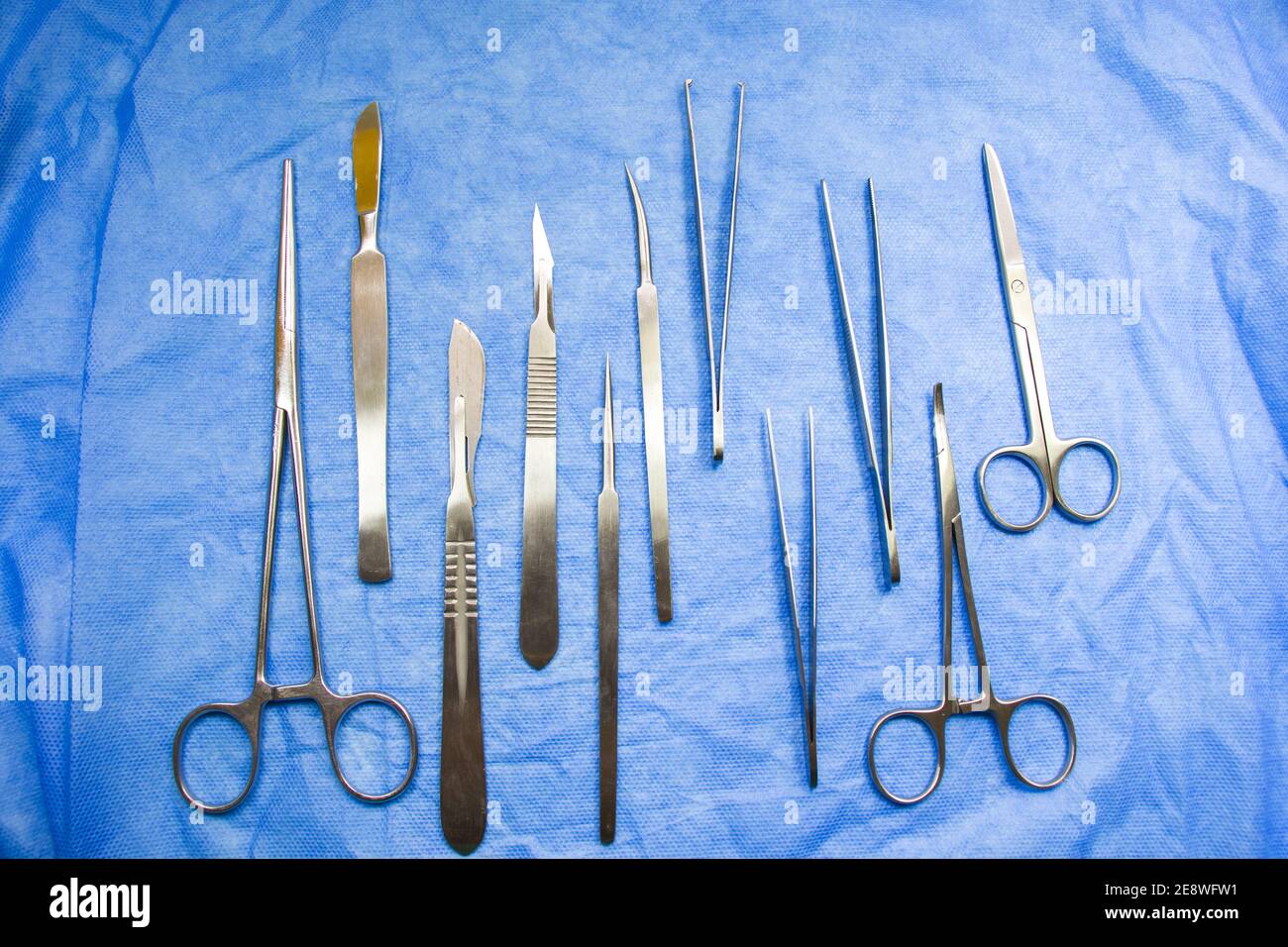 Dissection Tile Top view of a dissection kit on a blue fabric surface Stock Photo - Alamy