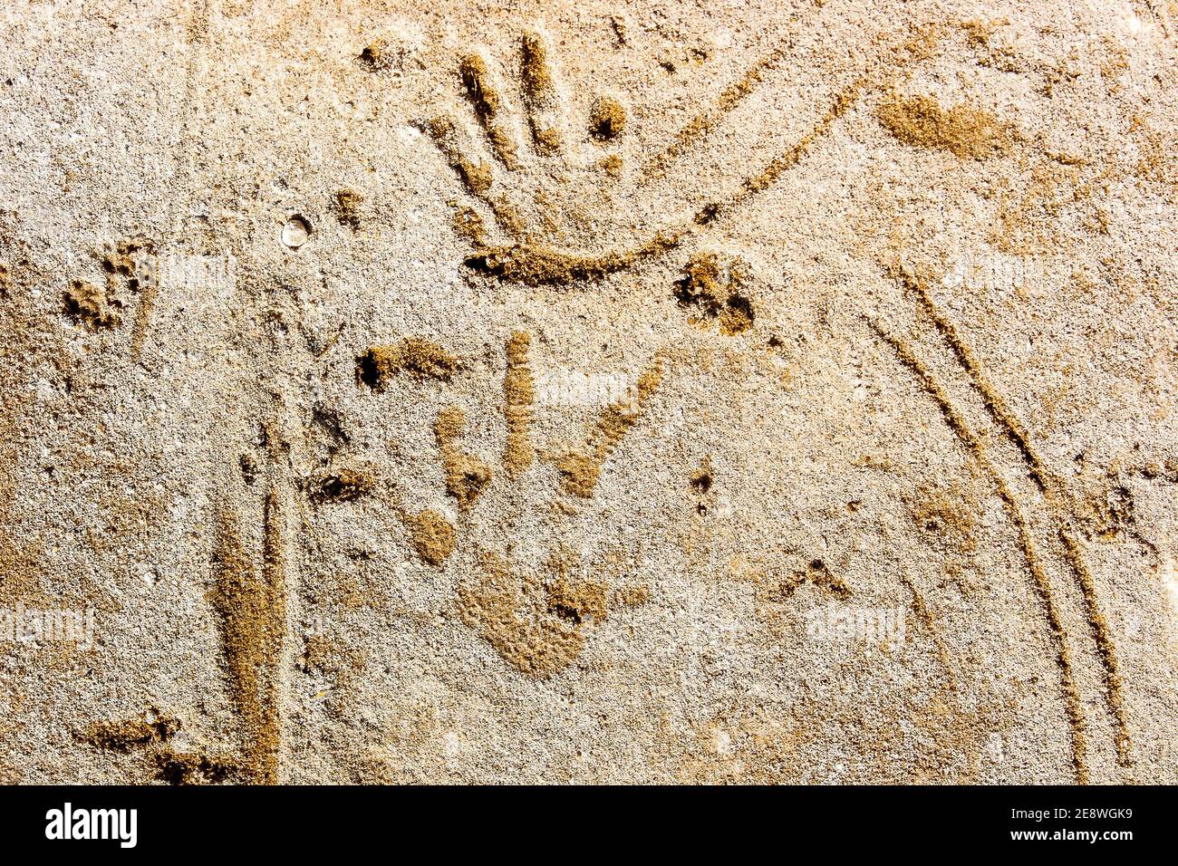 Baboon footprint on the ground. Fish River Canyon, Namibia. Namibia. Stock Photo