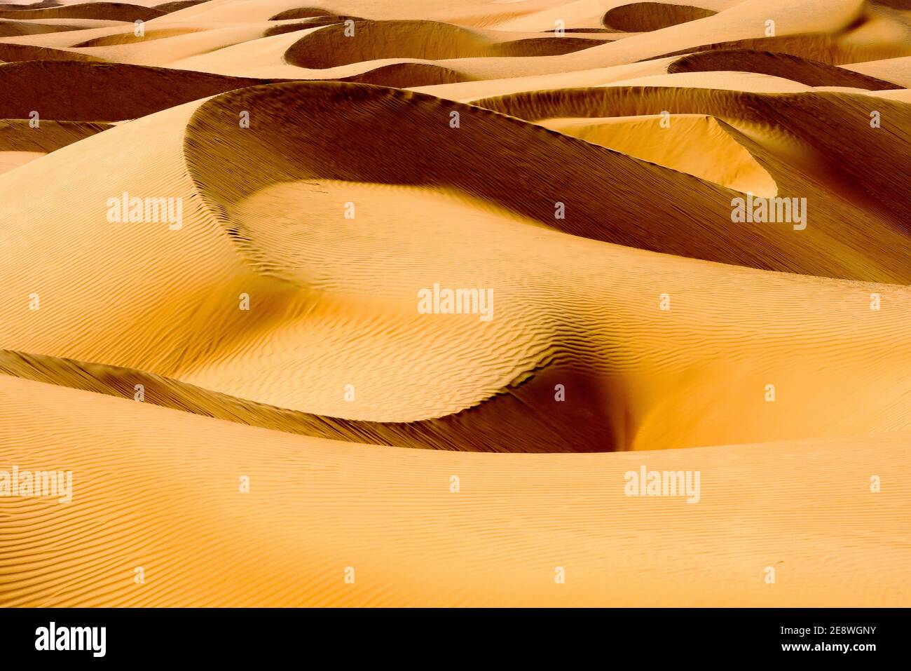 Sand dunes in Wahiba desert, Sultanate of Oman. Stock Photo