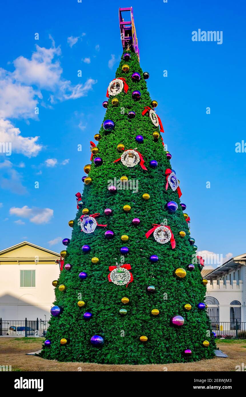 A Mardi Gras tree stands in Mardi Gras Park in front of the