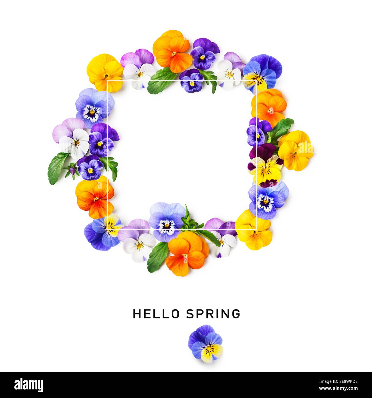 Floral frame. Creative composition of pansy or viola tricolor spring flowers isolated on white background. Greeting card and design element. Easter ho Stock Photo