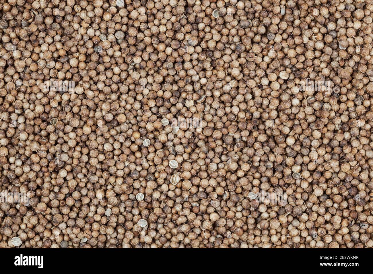 Dried coriander seeds background Stock Photo Alamy