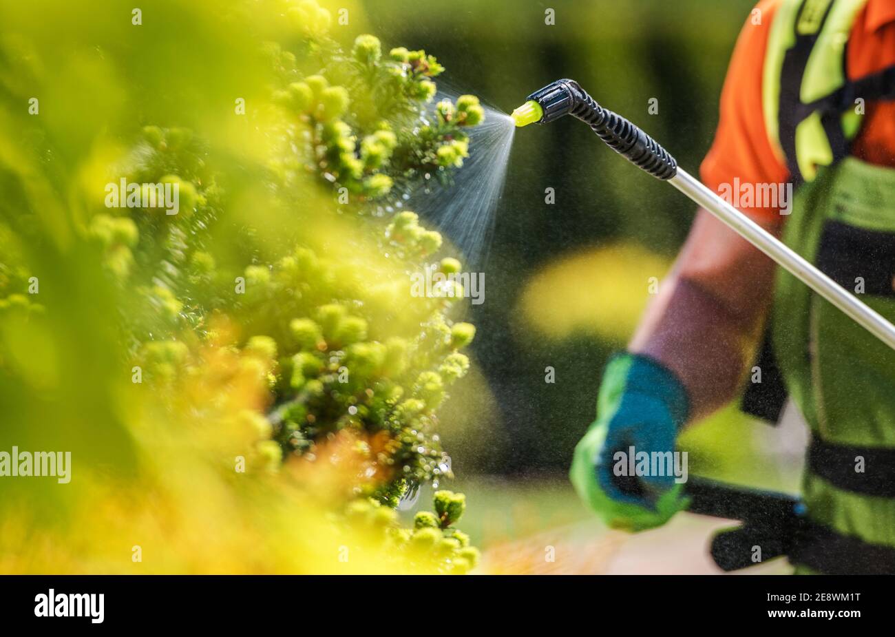 Gardener with Professional Insecticide Fertilizer Equipment. Worker