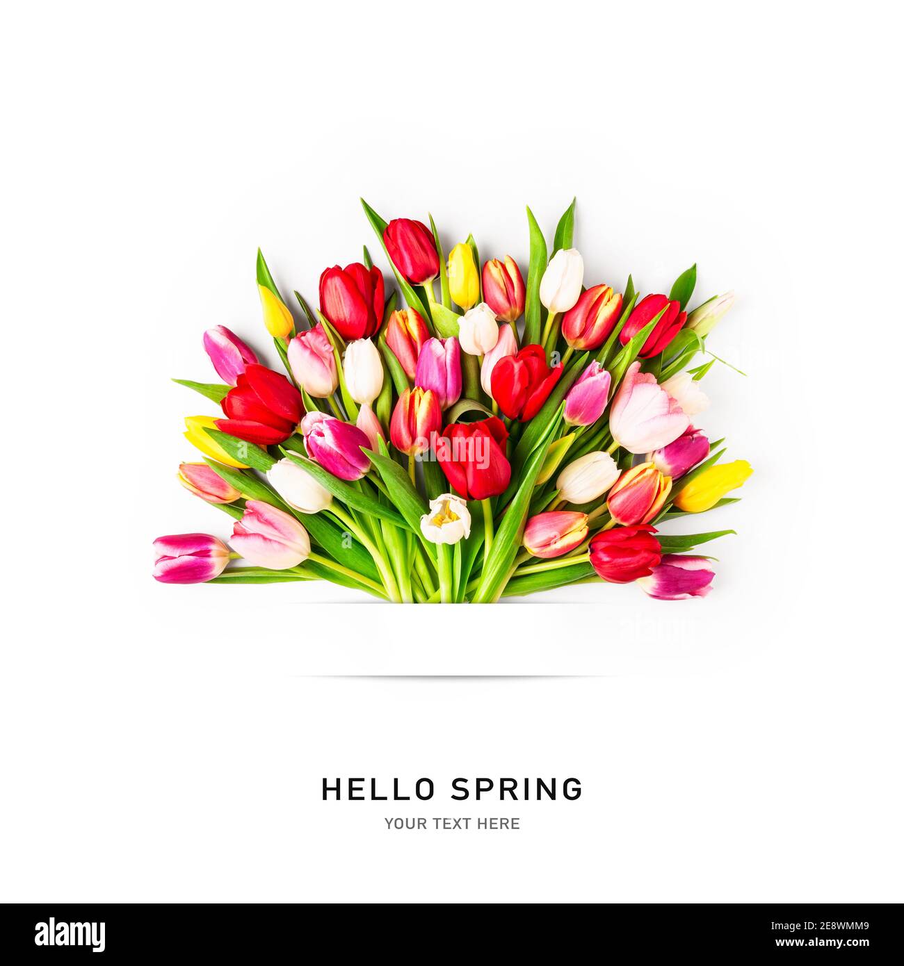 Creative layout with colorful tulip flowers bouquet and banner isolated