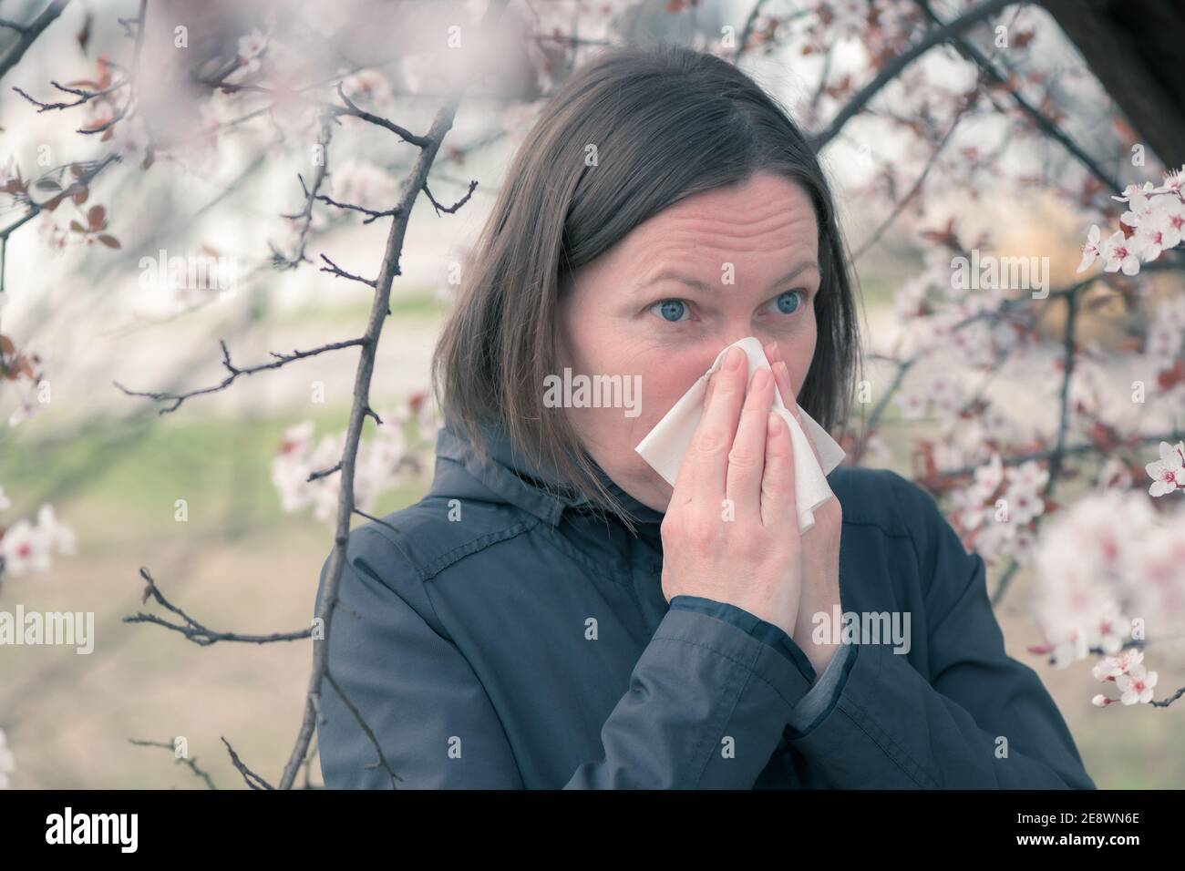 Woman sneezing in front of blooming cherry tree in spring allergy concept, selective focus Stock Photo