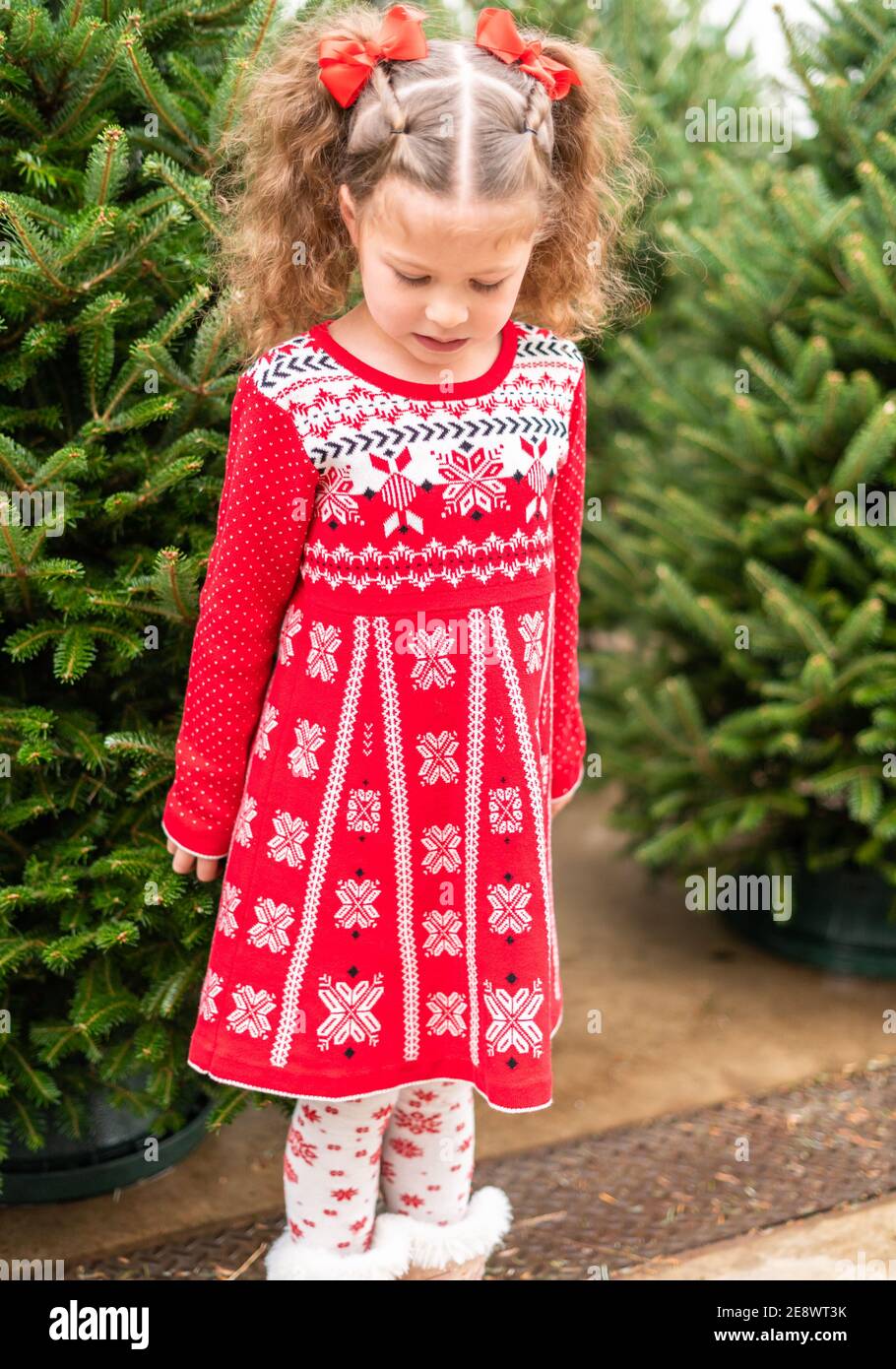 Little girl in red dress at the Christmas tree farm Stock Photo - Alamy