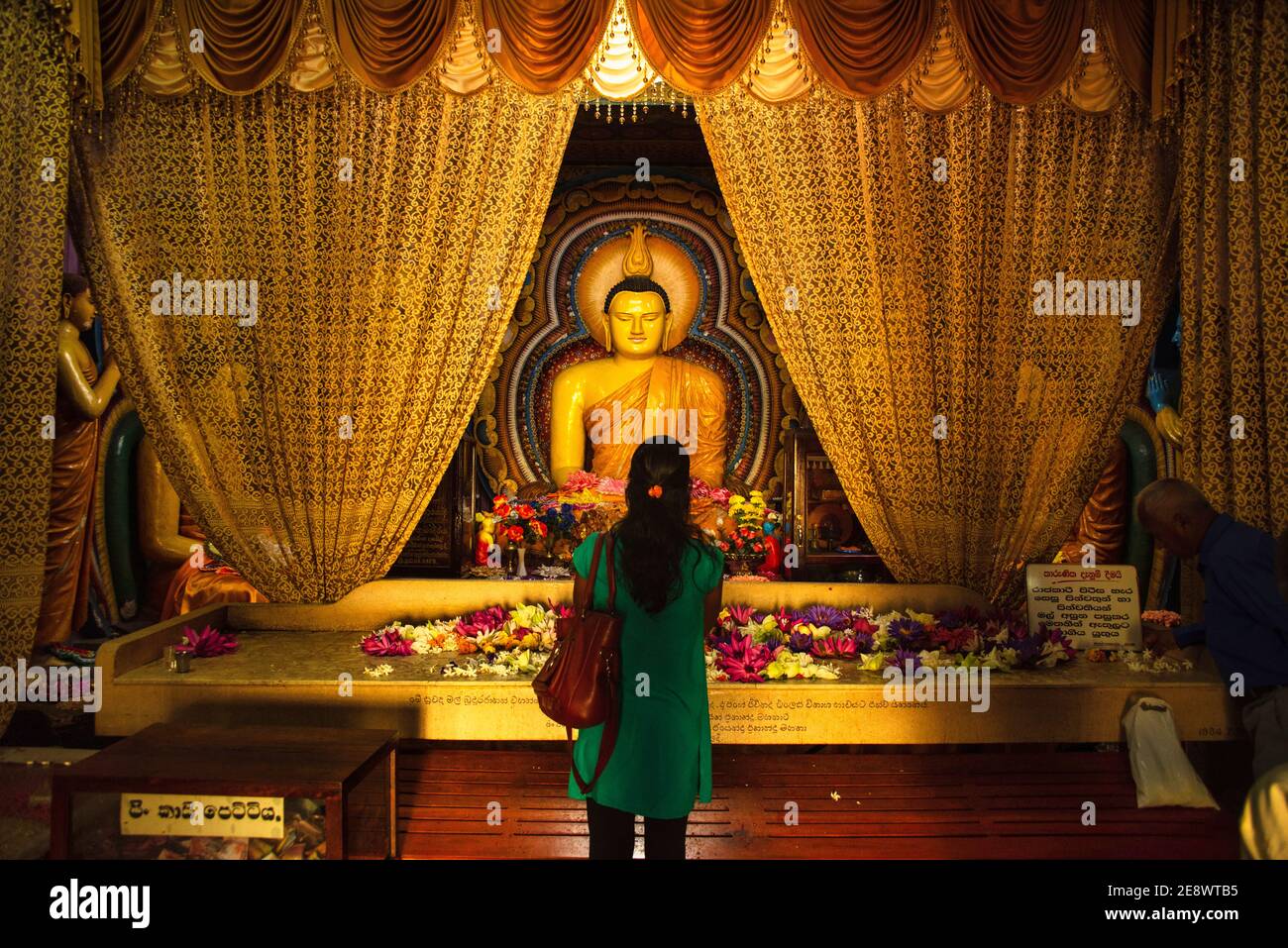 Sri Lanka. Sinhalese woman praying in front of a golden buddha Statue in a temple at an altar. Stock Photo