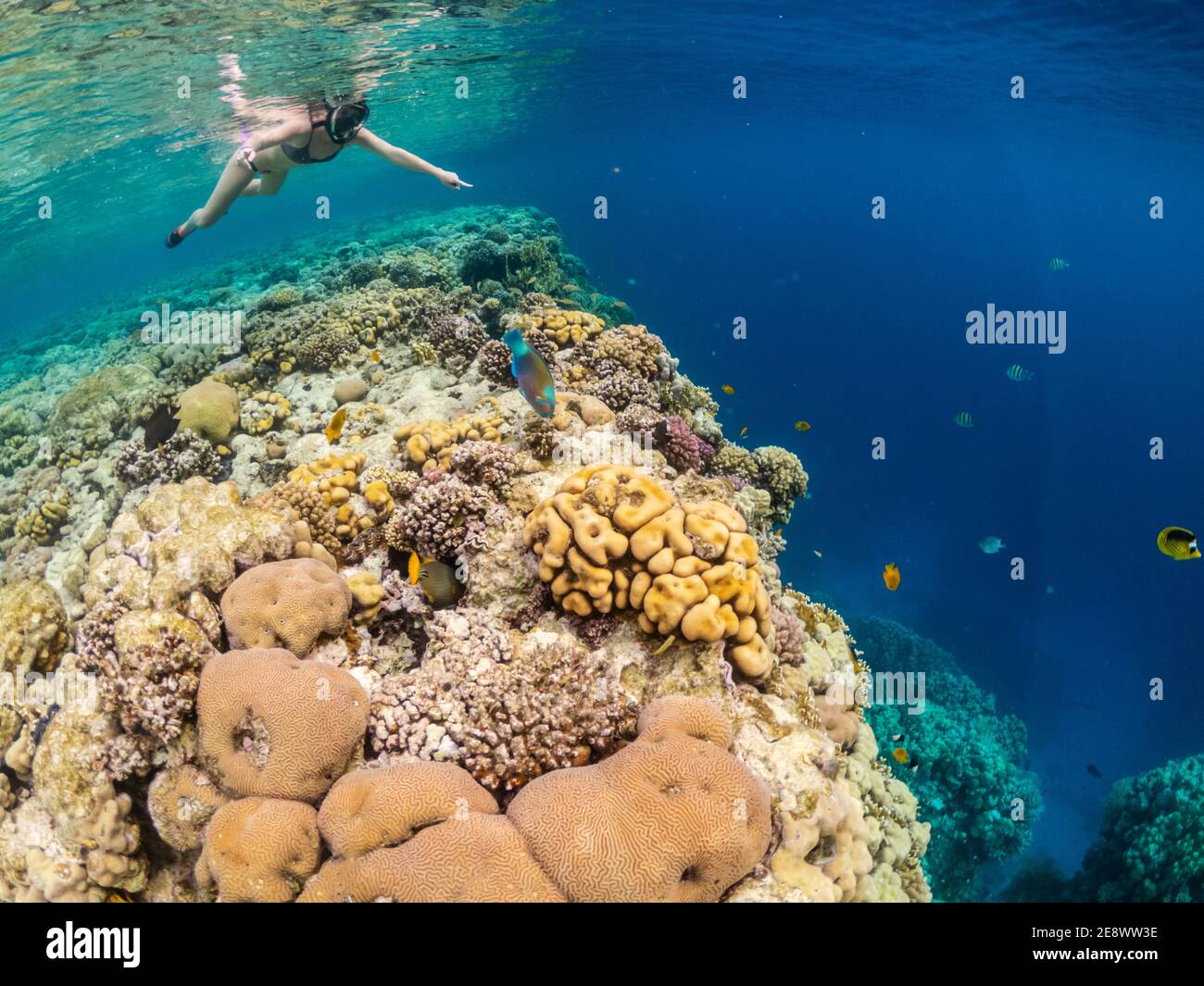 Woman Snorkeling High Resolution Stock Photography and Images - Alamy