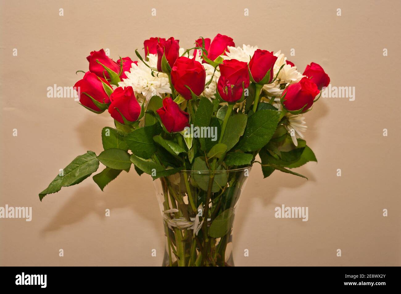 Red Roses and White Chrysanthemums In A Vase Stock Photo