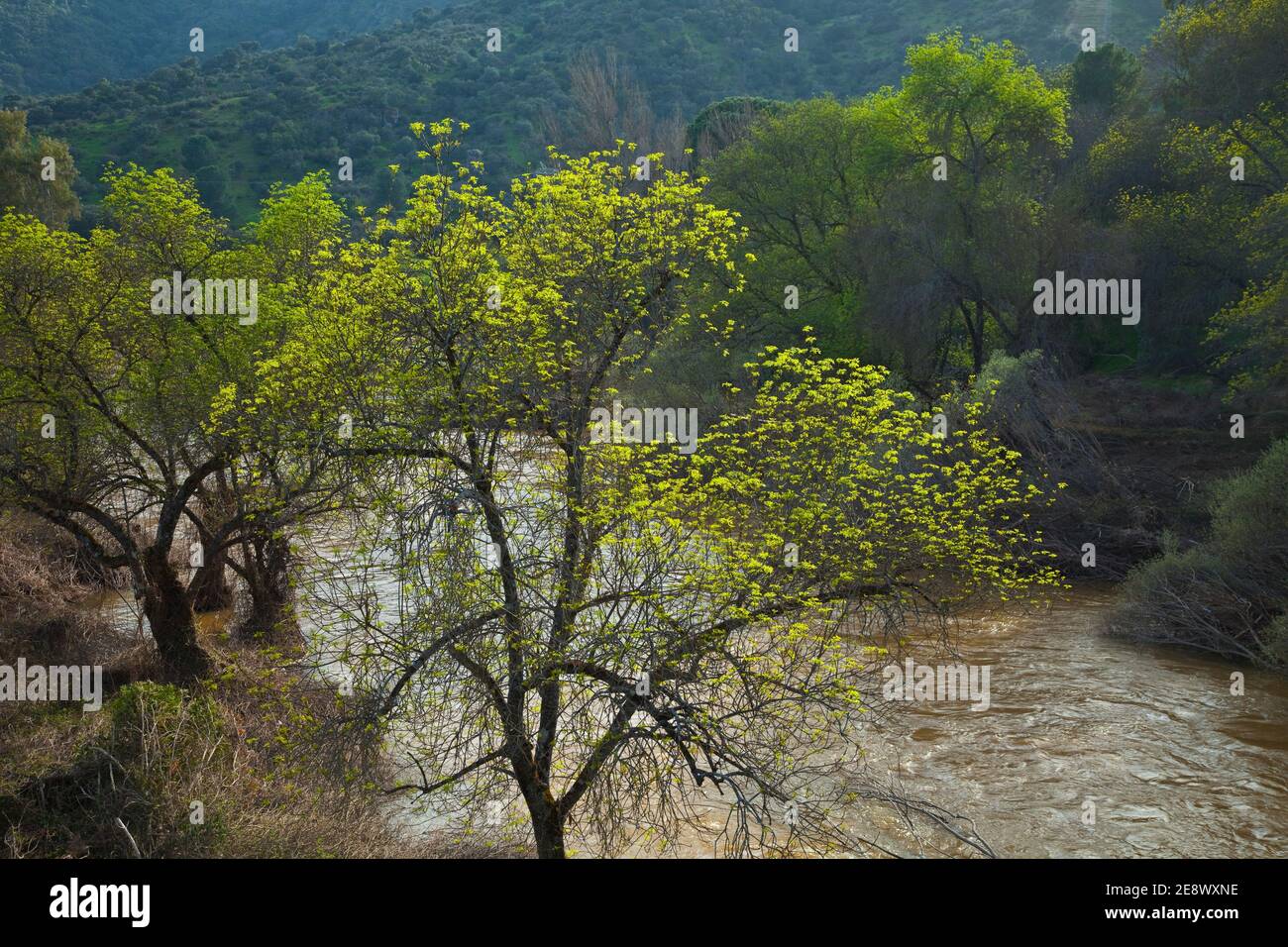 Paisaje en primavera hi-res stock photography and images - Alamy