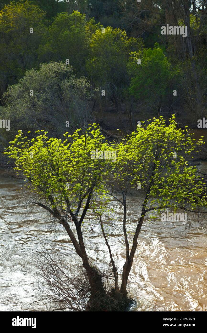Paisaje en primavera hi-res stock photography and images - Alamy