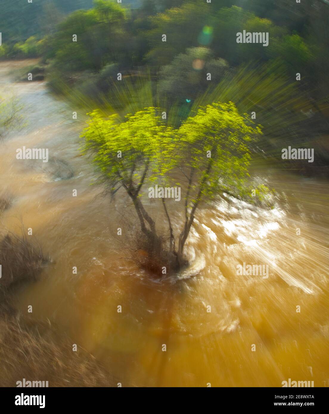 Paisaje en primavera hi-res stock photography and images - Alamy