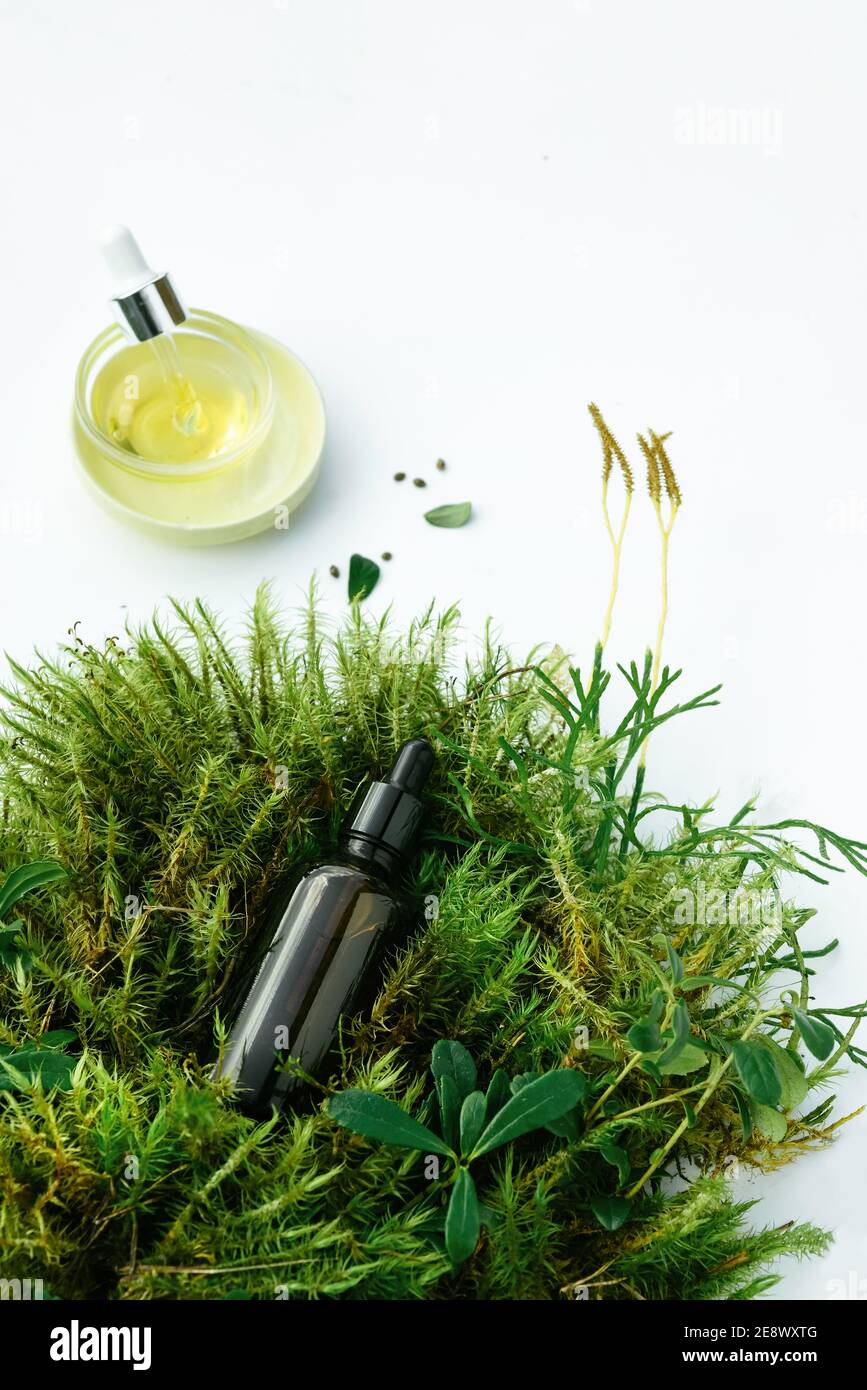 Bottle natural cosmetics serum, tinctures with fresh plants on white background Stock Photo
