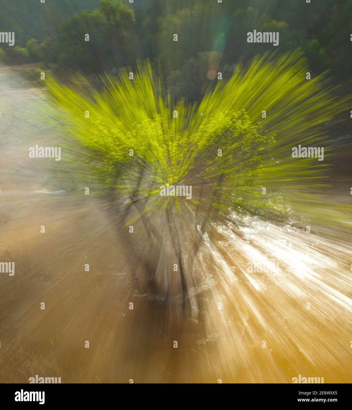 Paisaje en primavera hi-res stock photography and images - Alamy