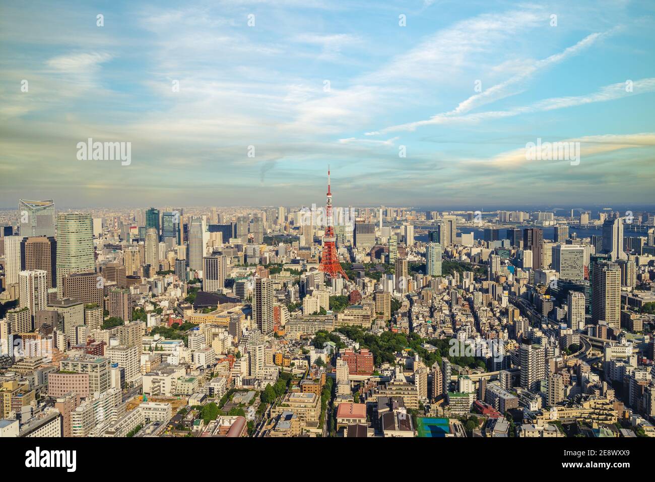 aerial view of Tokyo skyline and tokyo tower in Japan Stock Photo