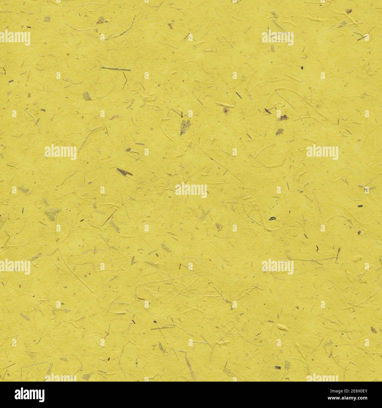 Yellow paper background with dried plants Stock Photo