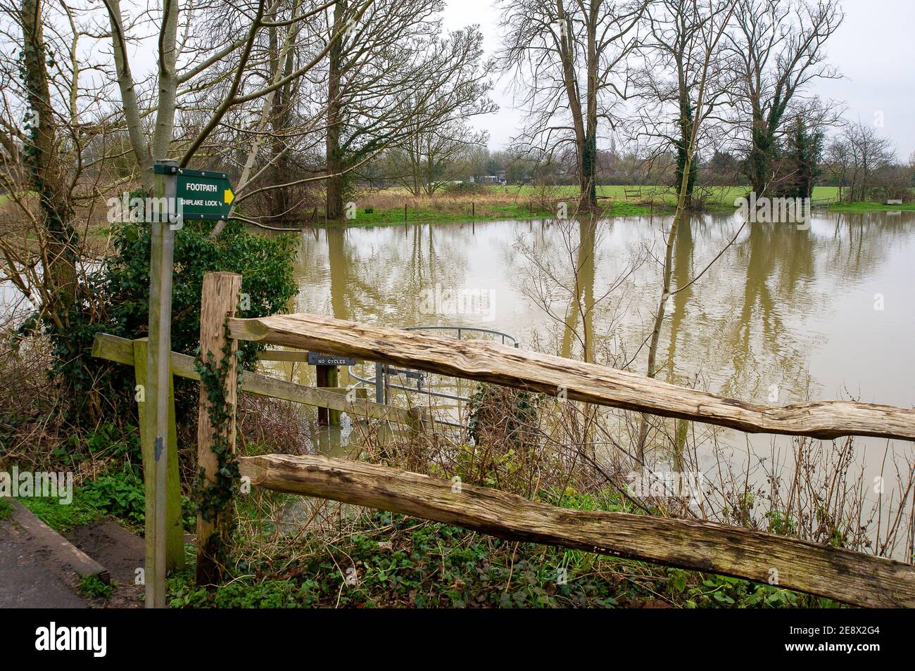 Lower Shiplake, Oxfordshire, UK - 1st February, 2021. An impassable part of the Thames Path in Lower Shiplake. A Flood Warning is in place for Shiplake and Lower Shiplake. Property flooding is expected as river levels continue to rise on the River Thames. Further rainfall is forecast for the week ahead. Credit: Maureen McLean/Alamy Live News Stock Photo