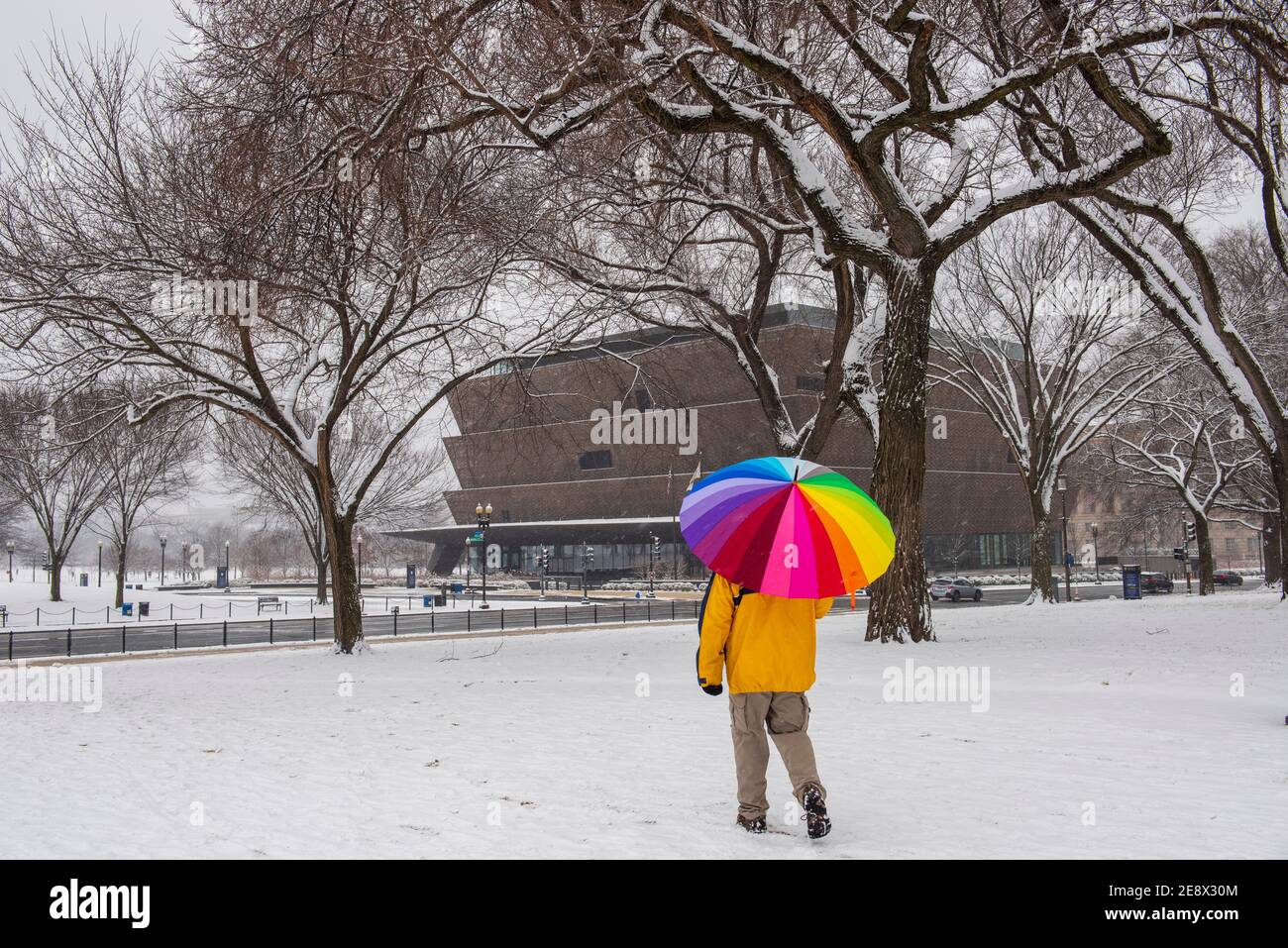 A man with a colorful umbrella walks past the Smithsonian National Museum of African American History and Culture (NMAAHC) during a snowy day in Washi Stock Photo