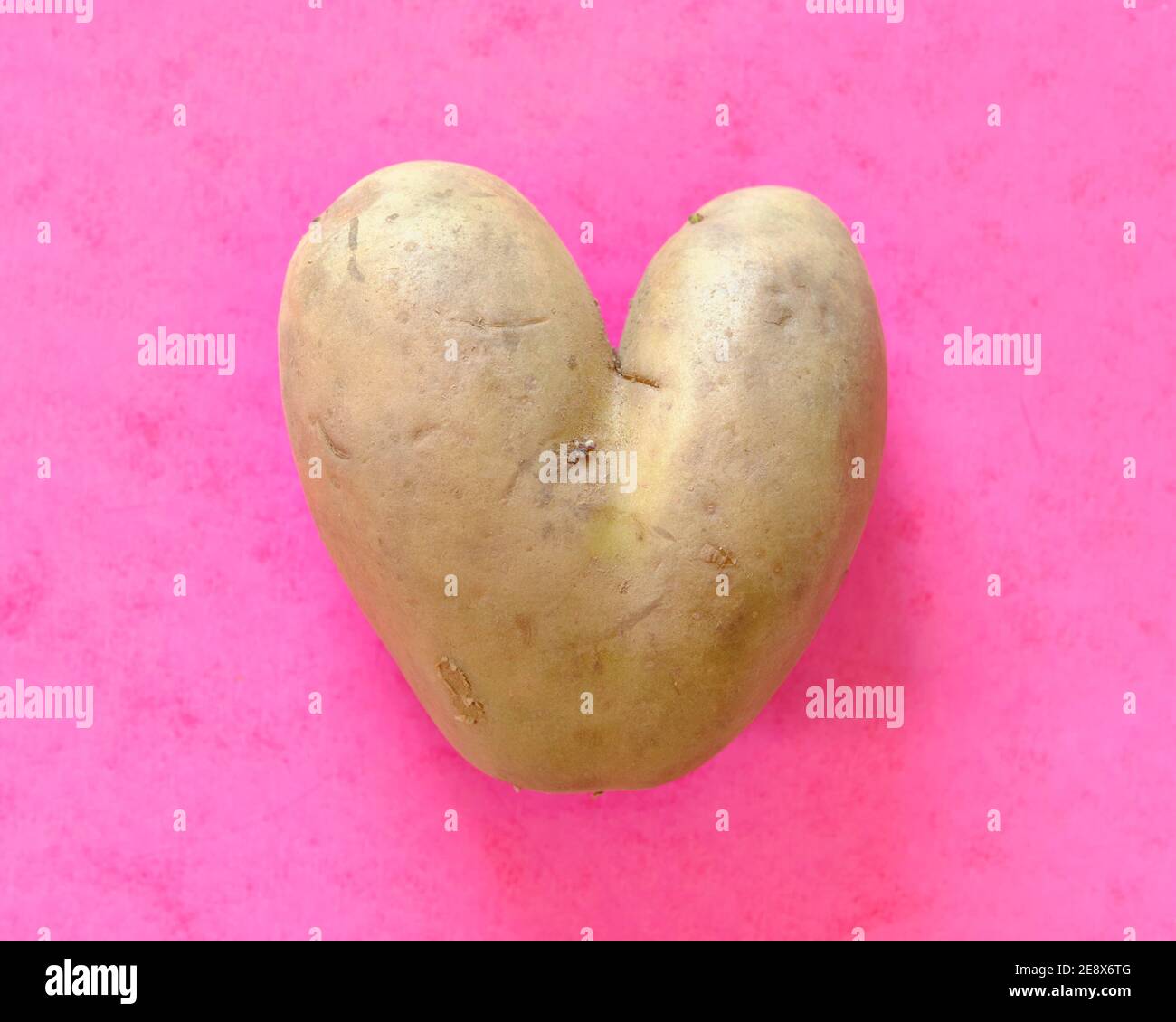 Heart shaped misshapen potato on pink Stock Photo