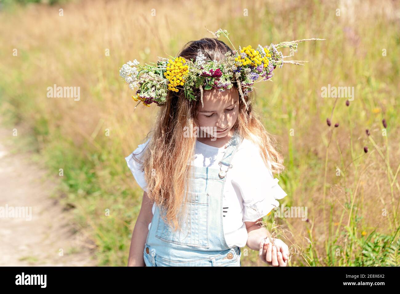 Summer portrait of a beautiful girl. Cute girl in a wreath of wildflowers on her head Stock Photo