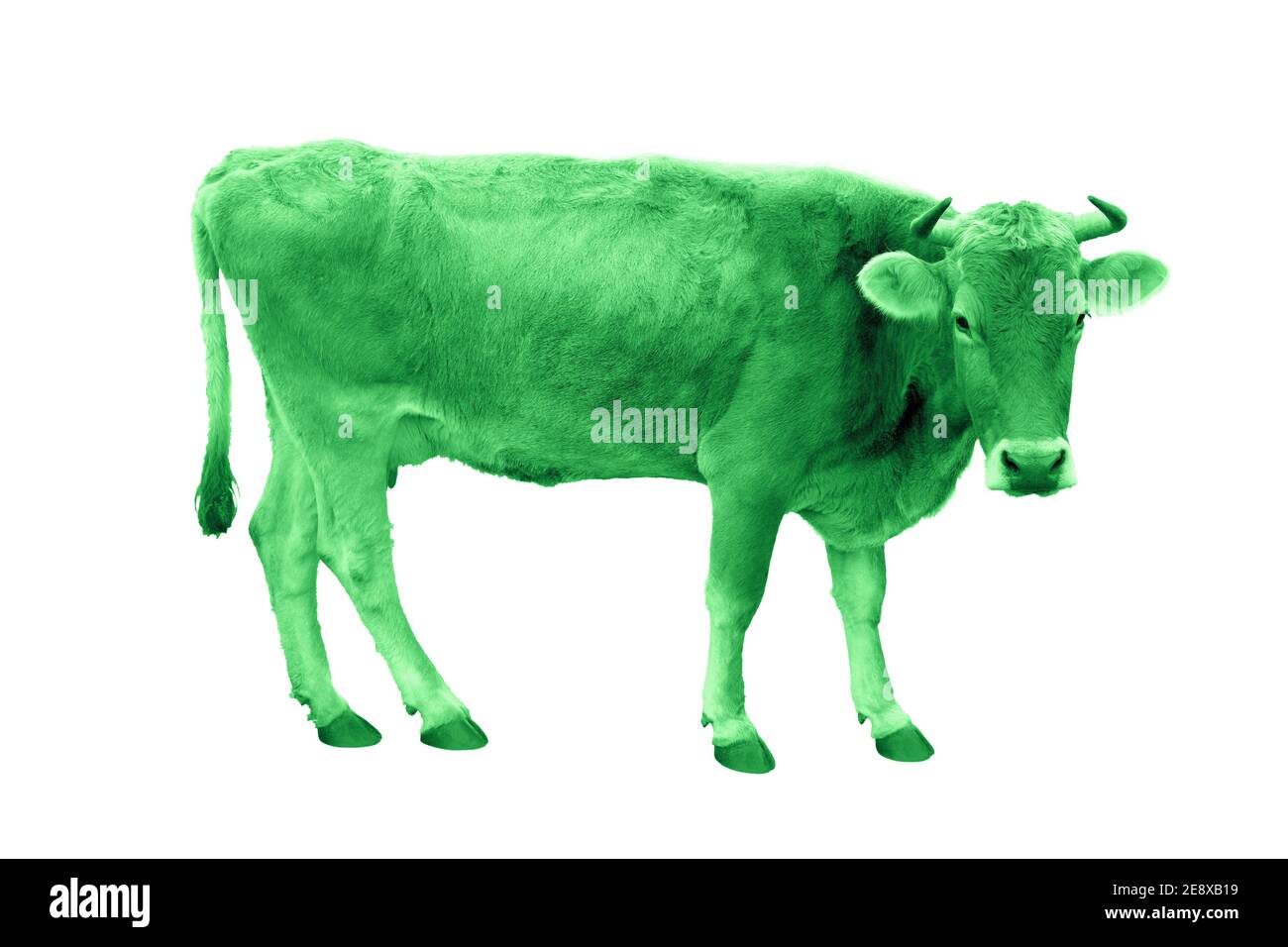 Green cow isolateon a white background Stock Photo - Alamy