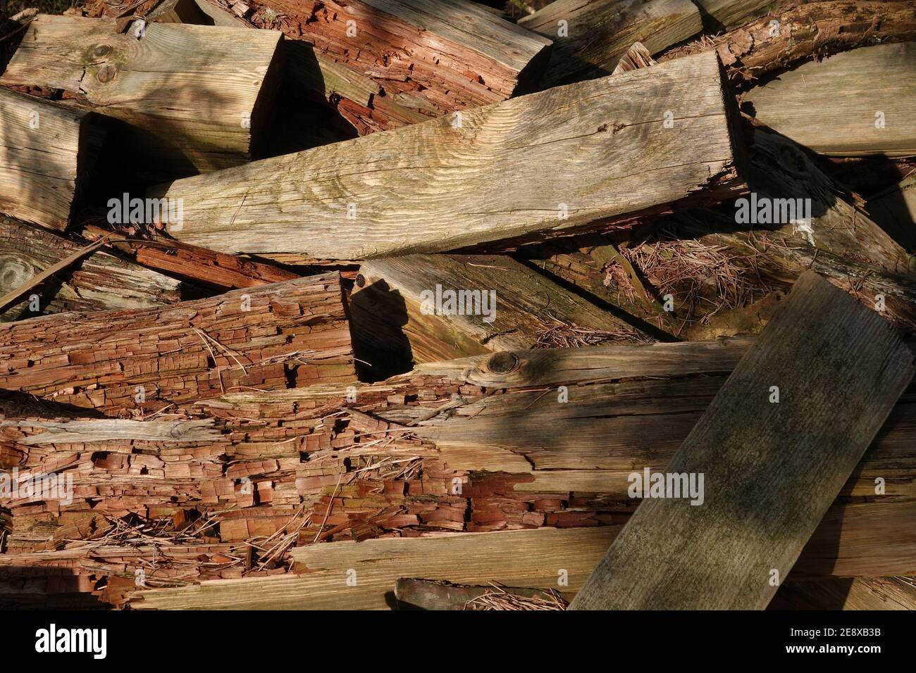 Stack with old wooden beams, which are slowly deteriorating. Brown background. Weathered wood Stock Photo