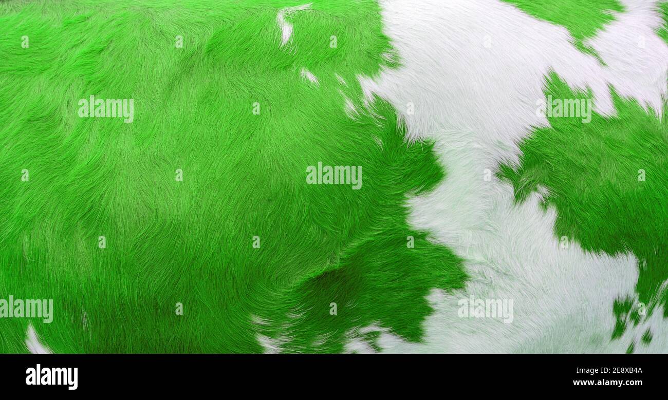Cow skin with white and green spots on it Stock Photo Alamy