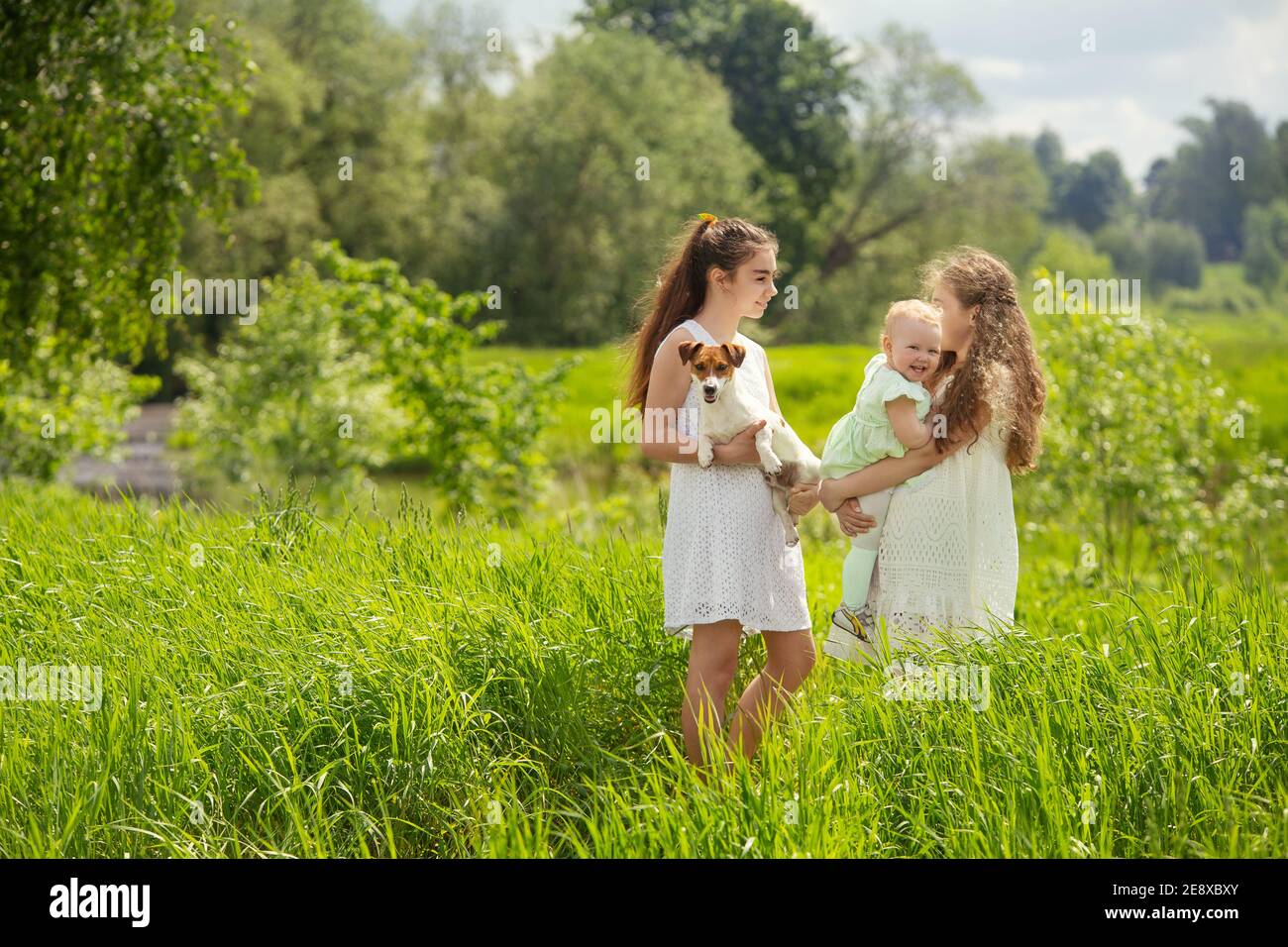 teenage girl on a walk in a field with dandelions, sunny summer day ...