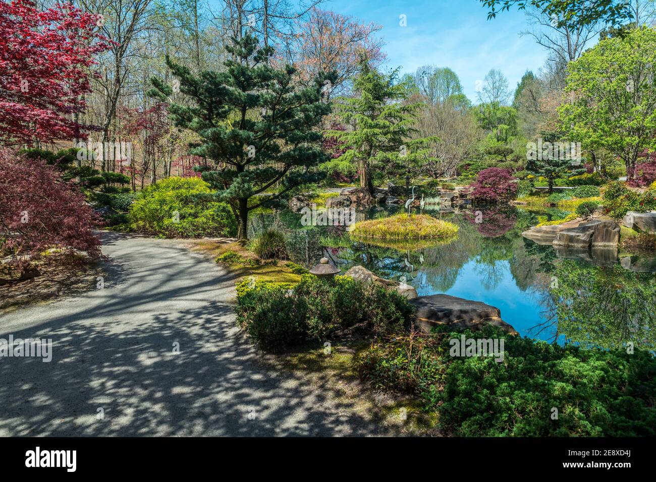 Beautiful Japanese garden with trails going around the pond full of variety of plants trees and statues with the foliage and flowers emerging on a bri Stock Photo