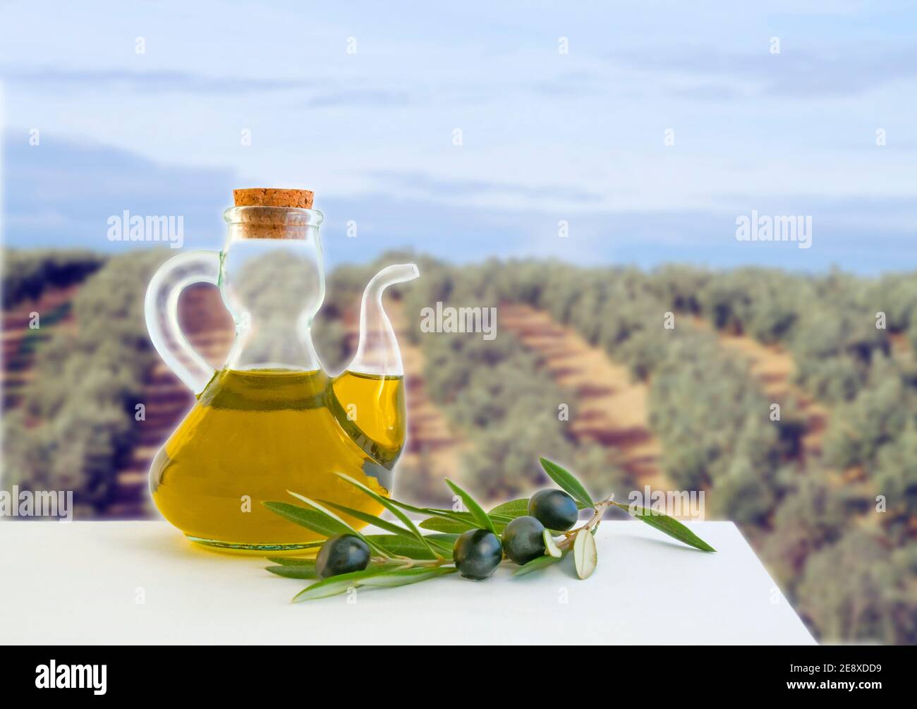Andalucia olive oil hires stock photography and images Alamy